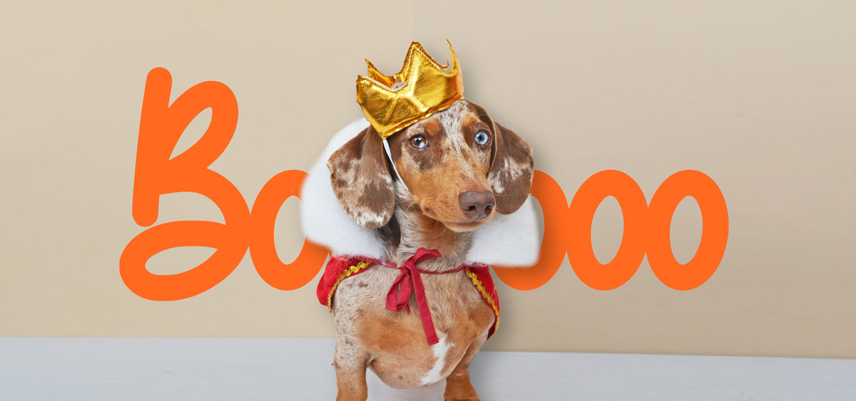 slider image slider_item_hbrewr