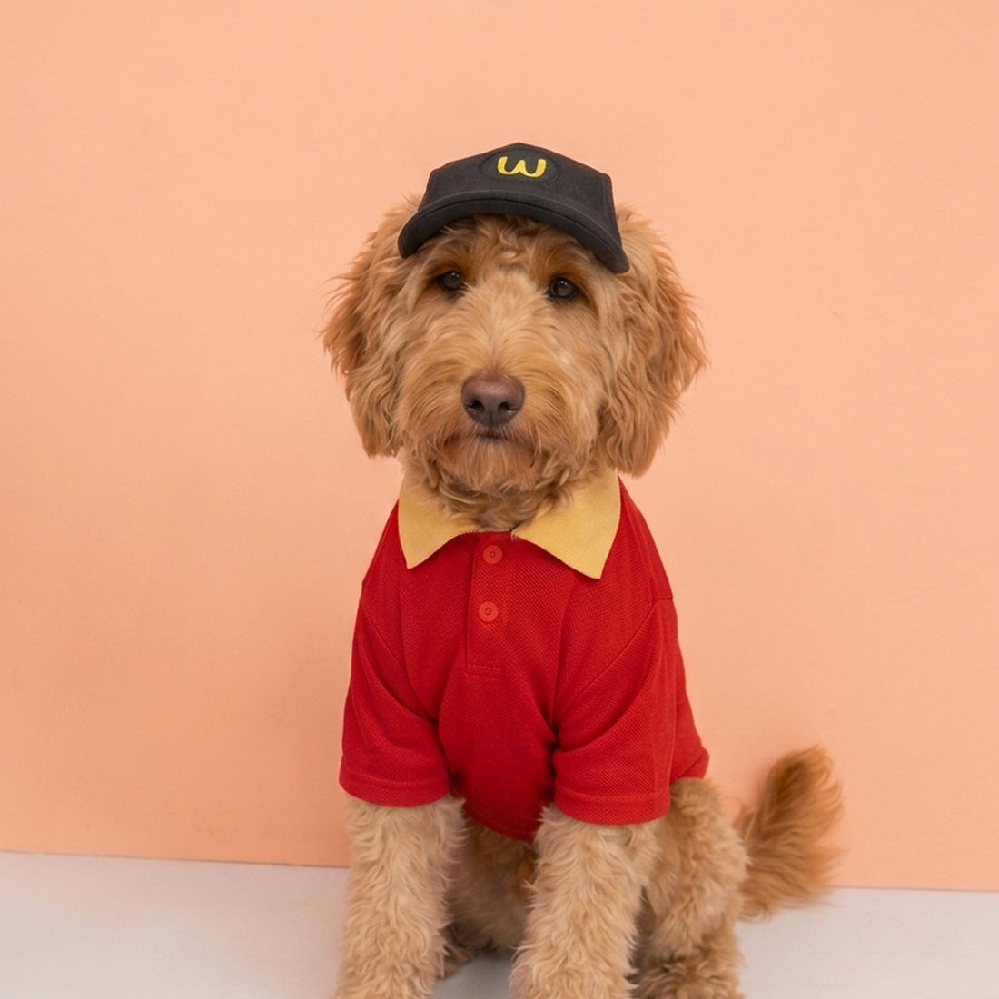 Disfraz waw Donalds rojo de Halloween para mascotas perros y gatos de todas las razas y tamaños.
