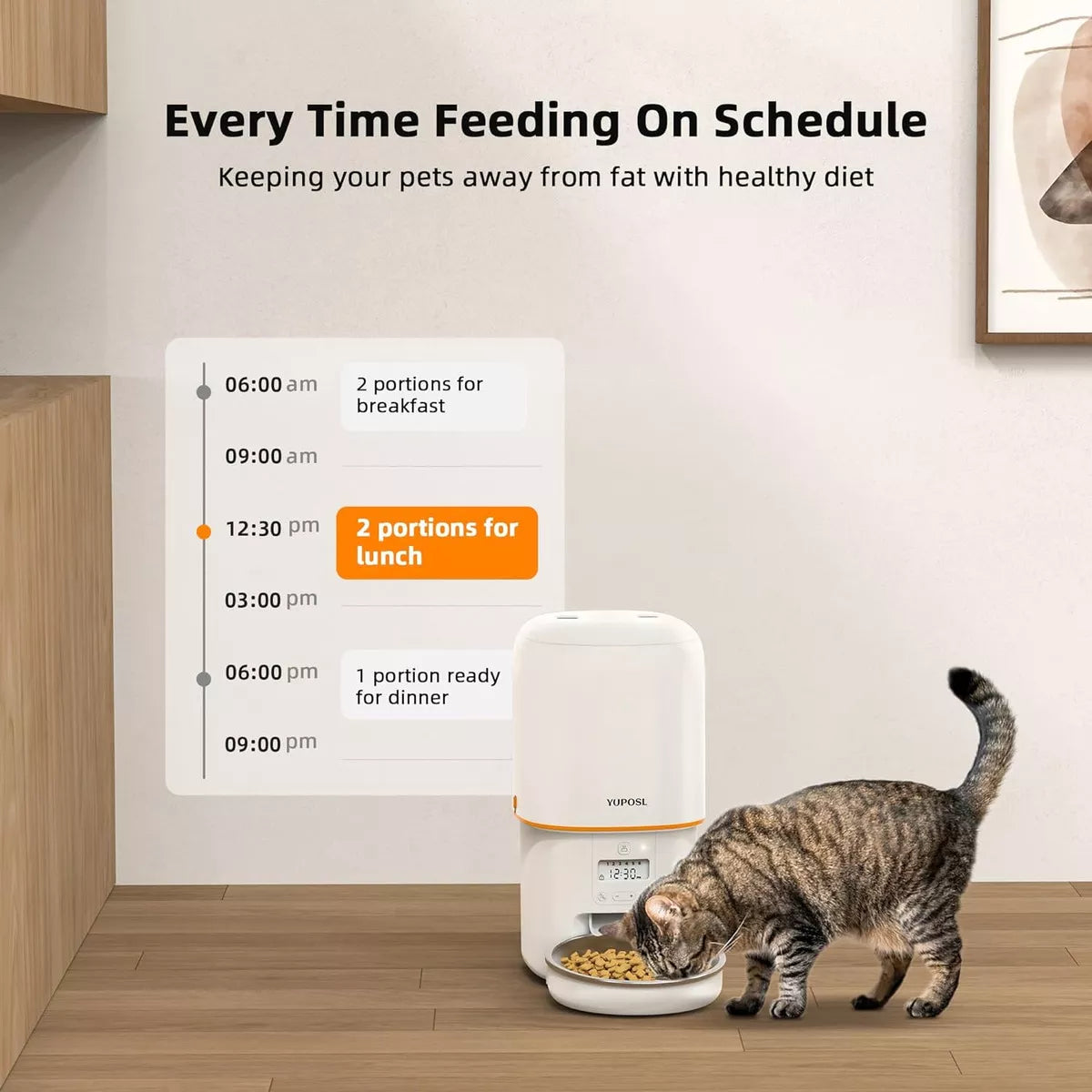 Comedero automático para perros y gatos 2L Blanco Wawaw para mascotas perros y gatos.