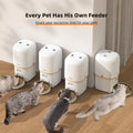 Comedero automático para perros y gatos 2L Blanco Wawaw para mascotas perros y gatos.