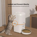 Comedero automático para perros y gatos 2L Blanco Wawaw para mascotas perros y gatos.