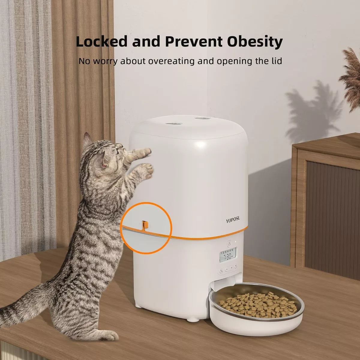 Comedero automático para perros y gatos 2L Blanco Wawaw para mascotas perros y gatos.