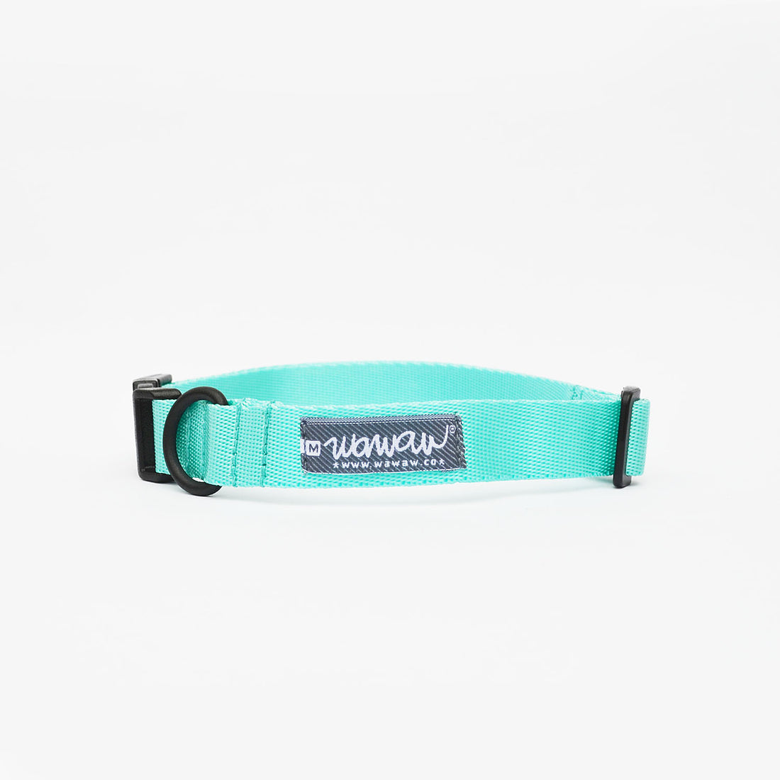 Collar menta + protector borrego gris