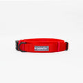 Collar rojo + protector rojo Wawaw para mascotas perros y gatos.