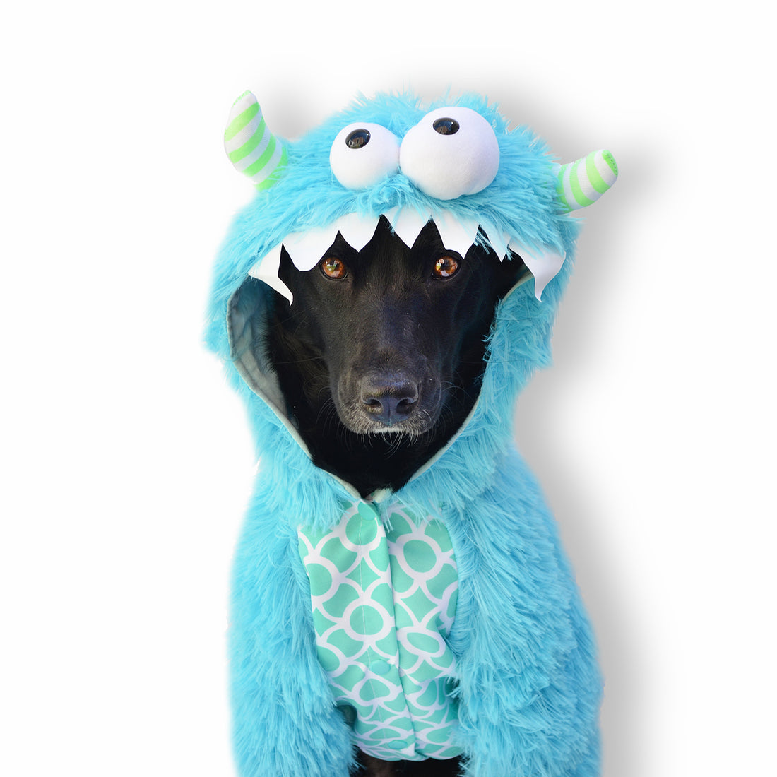 Disfraz monstruo azul 2021 Wawaw para mascotas perros y gatos.