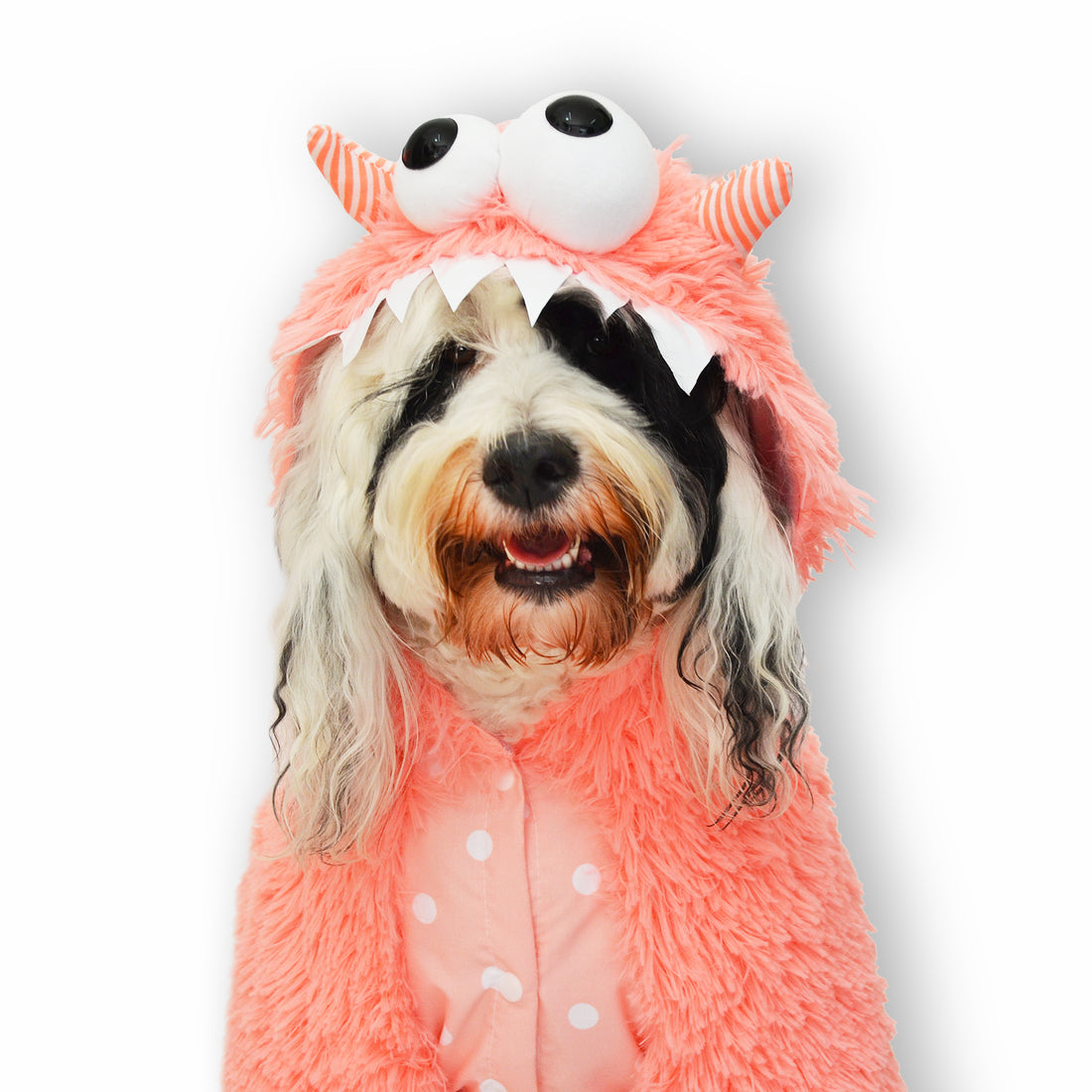 Disfraz monstruo coral 2021 Wawaw para mascotas perros y gatos.