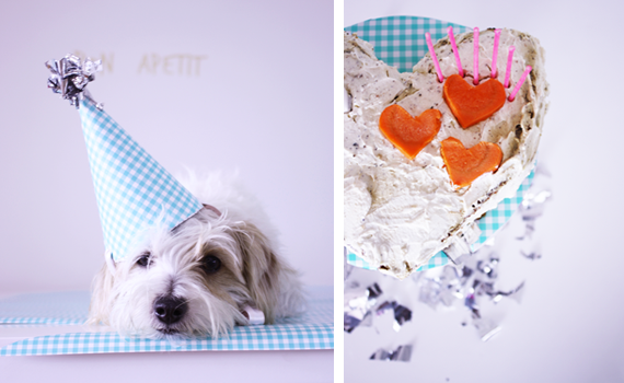 Receta: Pastel de cumpleaños - Ropa y accesorios para mascotas perros y  gatos