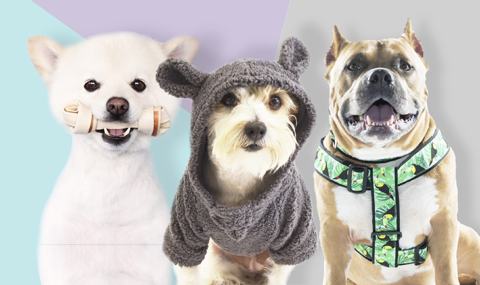 2 Paquetes TVMALL Pañales para Perros Pantalones Sanitarios Lavables Reutilizables con Mascotas Perros Fisiológicos para Gatos de Perros Solución Sanitaria para la Incontinencia de Mascotas 